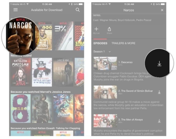 download netflix movies to hard drive
