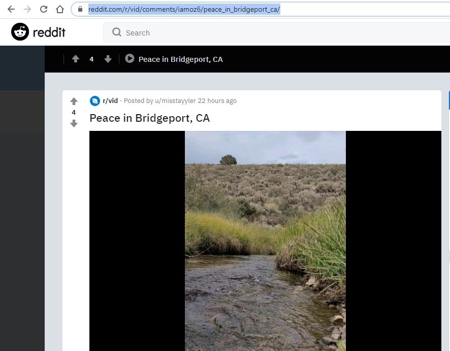 download video from reddit download video from reddit